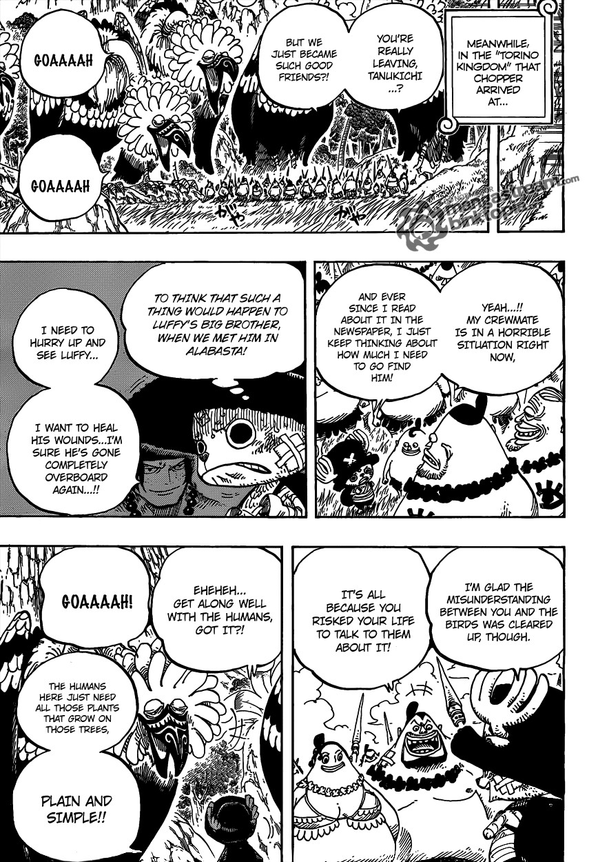 One Piece Chapter 591 17